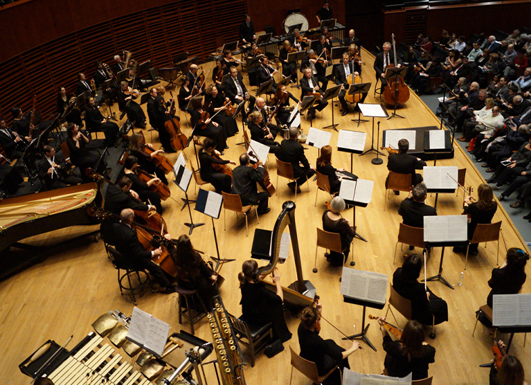 The musicians